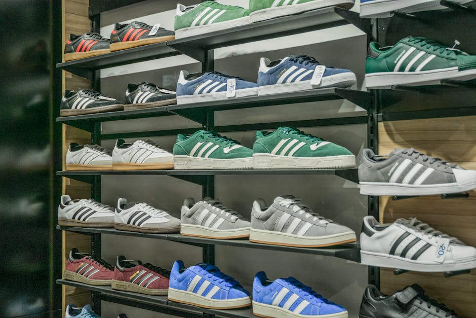 leather shoes brands lineup variety shop display